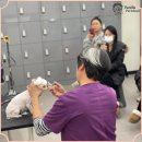 미래펫미용 이미지