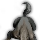 아담&이브 이미지