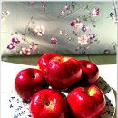 [260924-14. 목.]-[가을 햇사과 홍옥(맛보다는 색)-언양장(폰카)]-[00] 이미지