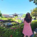 곡성-233 이미지