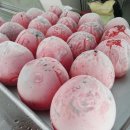 감나무집.홍시 이미지