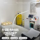수정중로 | 부산초량 수정동 래쉬진에서 손상없는 속눈썹펌 후기