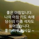 해피데이 이미지