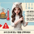 요리독 티스토리