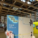 111CM | 수원 111cm 전시 '선 넘는 날' 후기