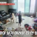 이호선농장 네이버블로그