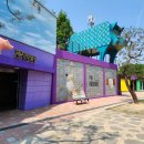 돼지보러오면돼지 이미지