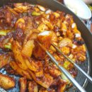 조가네갑오징어 이미지