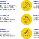프리스타일 이미지