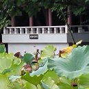 상림화원 이미지