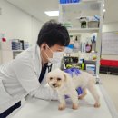 대한동물병원 이미지