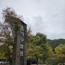 무릉도원면-51 | 후기보고 다녀온 영월 지구별캠핑장