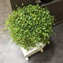 새봄작은도서관 이미지