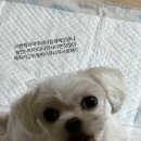 월