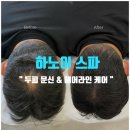 스파빈