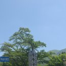 관광특구 진입로 이미지