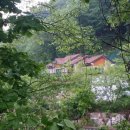 방천2리 네이버블로그