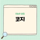 코지 | 전주 데이트하기 좋았던 웨리단길술집 코지 후기