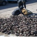 신양목장 이미지