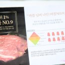 마블넘버나인(No9) 이미지