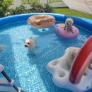 스테이_지 이미지