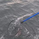 태안선구사 이미지