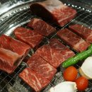 성수목장 이미지