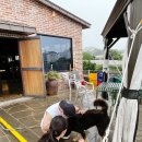 안덕면 대평 소기왓로 이미지