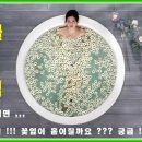 백로(白露) --- 한해의 24절기 이미지