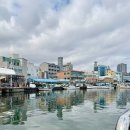 옛순대국 | 속초 아바이마을 여행 갯배 체험과 순대국 맛집 신다신 후기