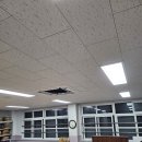 천안월봉초등학교 이미지