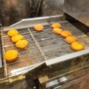 유천 pc | 대전1박2일 여행코스 야구장 성심당 스모프치킨 티오커피 오픈런