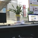 안암점 기아오토큐 이미지