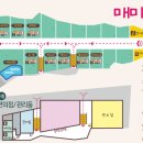 매미캠프