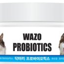 닥터리동물병원 이미지