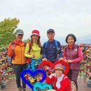 응봉공원3 이미지