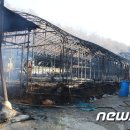 화성양계장 이미지