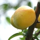 셀세모 셀프세차장 이미지