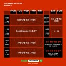 ONLY ONE 레슬링 이미지