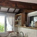 폐가부활전 이미지