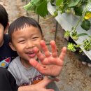 수은농장 네이버블로그