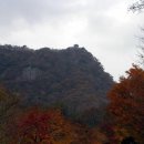 10월26일 일요산행 내장산(정읍) 안내 및 신청 이미지