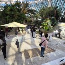 신갈어린이공원L | 마곡 서울식물원 온실 실내데이트 후기 l 주차, 입장료, 소요시간, 카페 총정리