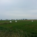 지북마을회관 앞 이미지