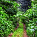 초록빛 태양광발전소 이미지