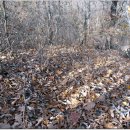 문촌3리 이미지