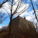 산천초목 이미지