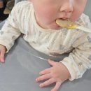 산골 | 중기 후기 시판 이유식 산골 이유식 내돈내산 만족 중