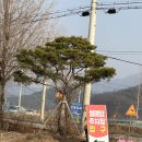 동충주농업협동조합하나로마트