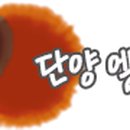 엘림펜션 이미지